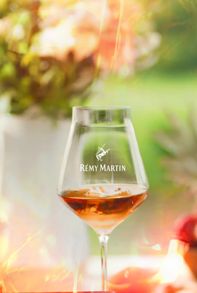 REMY MARTIN - TERCET