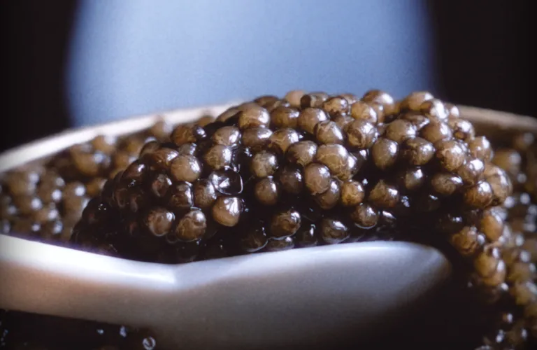 Comment filmer un produit de luxe ? Ce que le caviar Prunier nous a appris